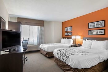 Standard Room, 2 Double Beds, Non Smoking, Refrigerator & Microwave