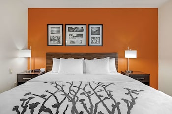 Standard Room, 1 King Bed, Non Smoking