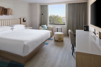 Room, 1 King Bed