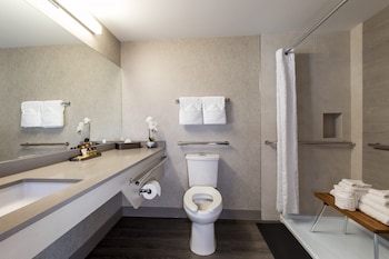 Standard Room, 1 King Bed, Accessible, Ground Floor (Pet Friendly)
