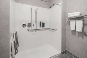 Room, 1 King Bed, Mobility Accessible (Roll-in Shower)