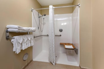 Suite, 1 King Bed with Sofa bed, Accessible, Non Smoking