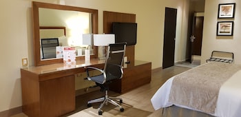Junior Single Room