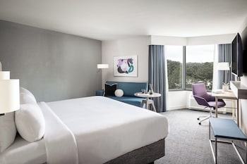 Standard Room, 1 King Bed, Accessible (Communications)