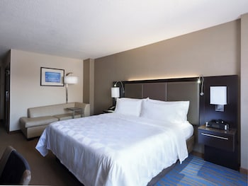 Standard Room, 1 King Bed with Sofa bed