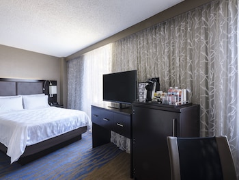 Suite, 1 King Bed
