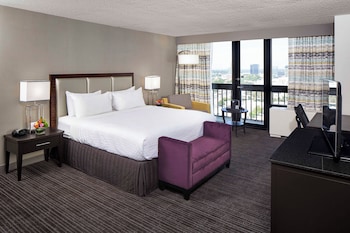 Room, 1 King Bed