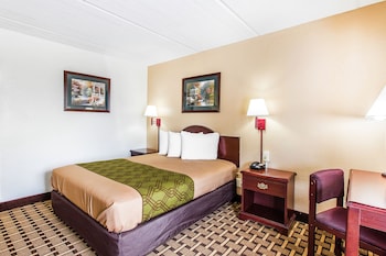 Room, 1 Queen Bed, Non Smoking