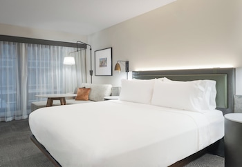 Premium Room, 1 King Bed, Roll-in Shower, Non Smoking (Communications, Roll-In Shower)