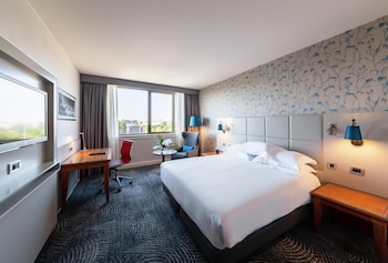 Executive Room, 1 King Bed