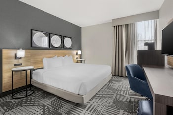 Standard Room, 1 King Bed, Accessible, Refrigerator & Microwave (Refrigerator & Microwave)
