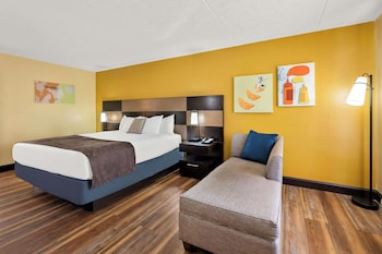 Standard Room, 1 King Bed, Non Smoking, Refrigerator & Microwave
