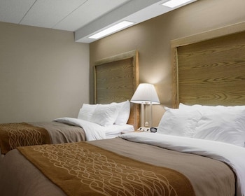 Standard Room, 2 Double Beds, Non Smoking
