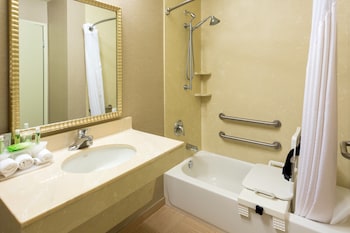 Standard Room, 1 King Bed, Accessible (Communication, Accessible Tub)