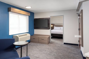 Suite, 1 King Bed with Sofa bed