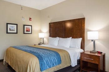Room, 1 King Bed, Accessible, Non Smoking