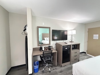 Room, 1 King Bed, Accessible, Non Smoking (Roll-In Shower)