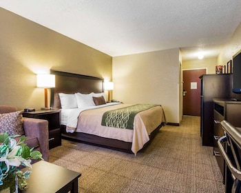 Standard Room, 1 King Bed, Non Smoking