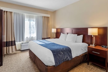 Suite, 1 King Bed with Sofa bed, Accessible, Non Smoking