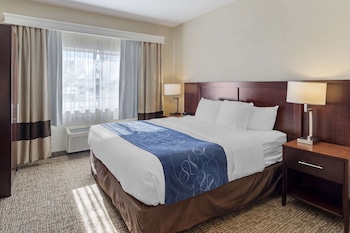 Suite, 1 King Bed with Sofa bed, Accessible, Non Smoking