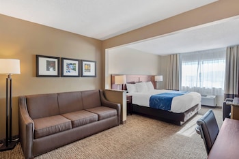 Suite, 1 King Bed with Sofa bed, Non Smoking