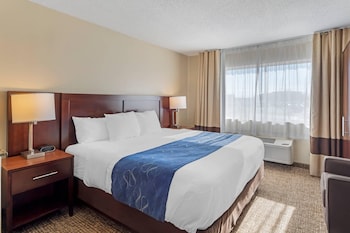 Suite, 1 King Bed with Sofa bed, Non Smoking