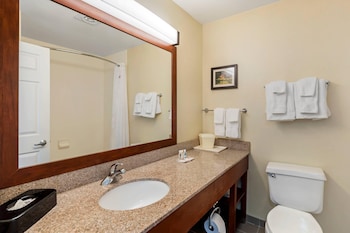 Suite, 1 King Bed with Sofa bed, Non Smoking