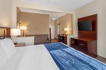 Suite, 1 King Bed with Sofa bed, Accessible, Non Smoking