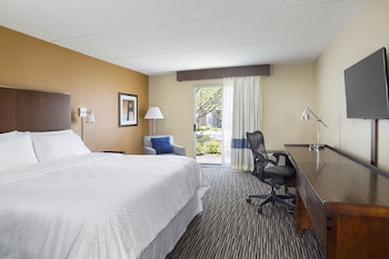 Room, 1 King Bed