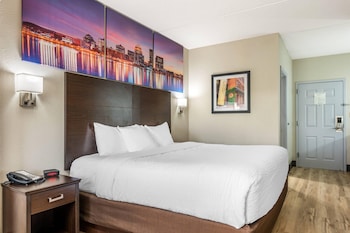 Standard Room, 1 King Bed, Non Smoking