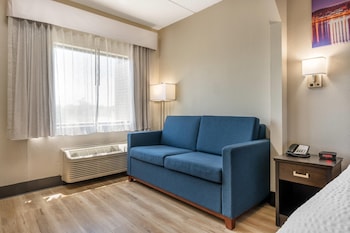 Room, 1 King Bed with Sofa bed, Non Smoking (Upgrade)