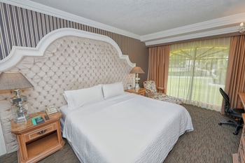 Suite, 1 Bedroom