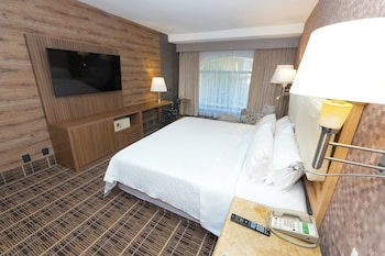 Standard Room, 1 King Bed, Accessible Bathtub