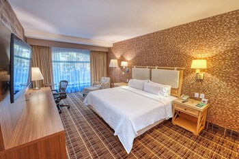Standard Room, 1 King Bed, Accessible Bathtub