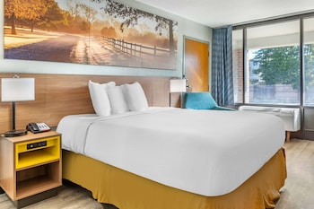 Standard Room, 1 Queen Bed, Non Smoking