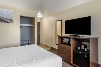 Standard Room, 1 King Bed, Non Smoking, Patio (1st Floor)