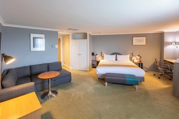 Suite, 1 King Bed with Sofa bed