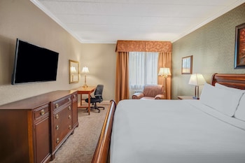 Suite, 1 King Bed with Sofa bed