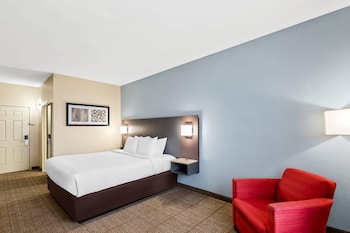Efficiency, Suite, 1 King Bed with Sofa bed