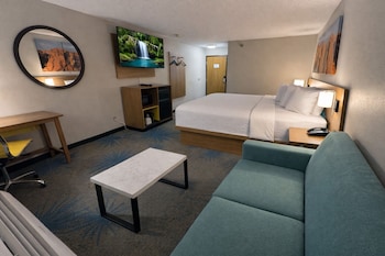 Studio Suite, 1 King Bed, Non Smoking