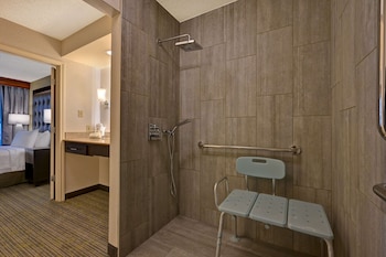 Room, Accessible, Non Smoking (Roll-in Shower)