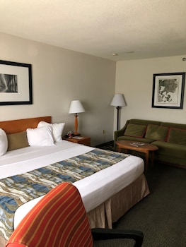 Room, 1 King Bed with Sofa bed, Non Smoking
