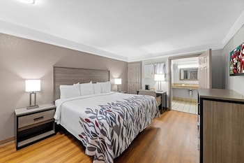 Deluxe Room, 1 King Bed, Accessible, Non Smoking (Roll-In Shower)