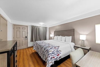 Deluxe Room, 1 King Bed, Accessible, Non Smoking (Roll-In Shower)