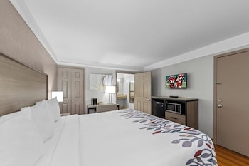 Deluxe Room, 1 King Bed, Accessible, Non Smoking (Roll-In Shower)