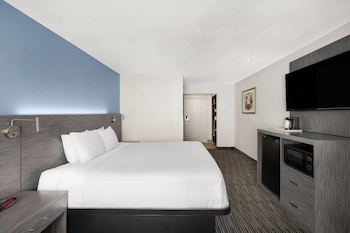 Room, 1 King Bed, Non Smoking