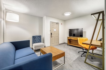 Suite, 1 King Bed