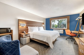 Suite, 1 King Bed, Accessible (Roll-In Shower)
