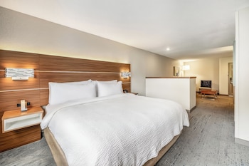 Suite, 1 King Bed
