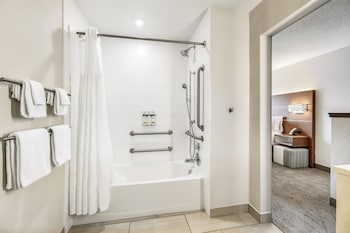 Standard Room, 1 King Bed, Accessible (Accessible Tub)